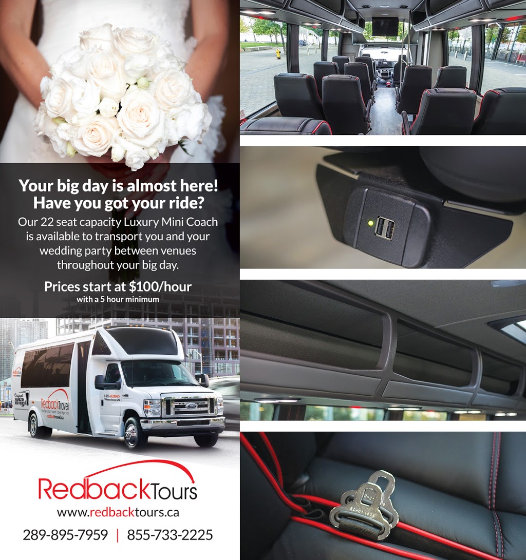 Redback Tours | 5 Hamilton St N, Waterdown, ON L8B 0G5, Canada | Phone: (289) 895-7959
