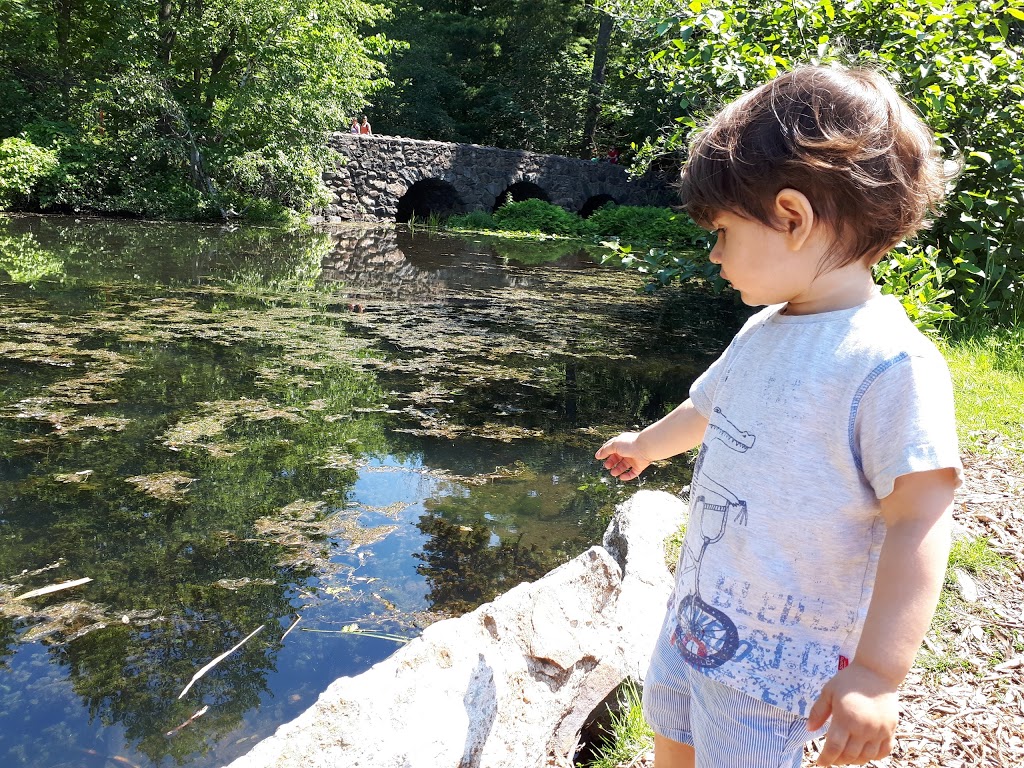 Parc des Bouleaux | 1680 Rue du Parc, Saint-Bruno-de-Montarville, QC J3V 4L9, Canada