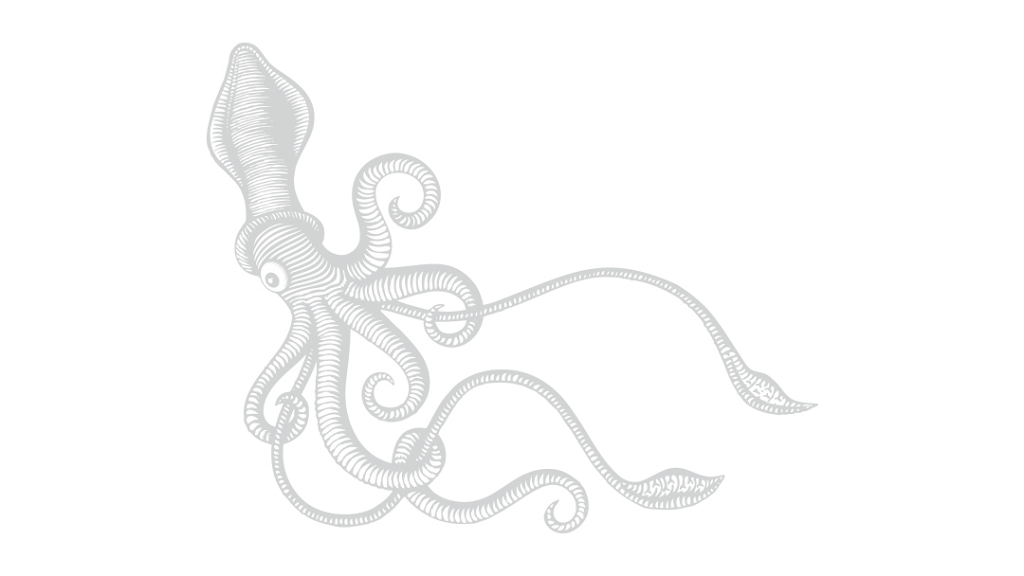 Squid Automates | 21 Bagshaw Cres, Uxbridge, ON L9P 0A9, Canada | Phone: (416) 628-8396