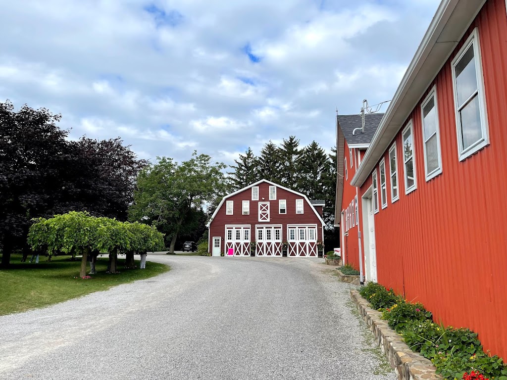 Cherry Avenue Farms | 4303 Cherry Ave, Vineland Station, ON L0R 2E0, Canada | Phone: (905) 562-5481