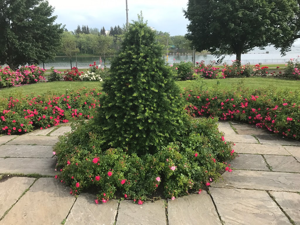 Rose Garden | Exhibition Place, Toronto, ON M6K 3C3, Canada