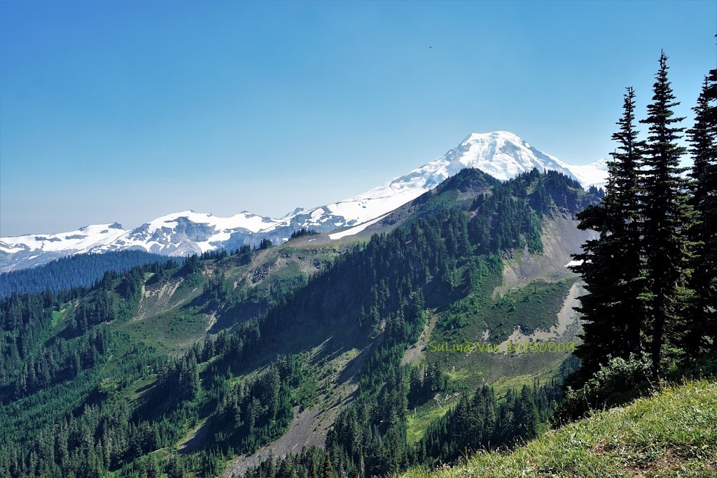 Skyline Divide Trailhead | NF-37, Deming, WA 98244, USA | Phone: (360) 856-5700