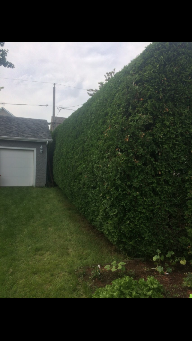 Dulude Paysagement Essouchage D’arbres | 3455 Chemin Sainte-Thérèse, Carignan, QC J3L 4A7, Canada | Phone: (514) 569-2380