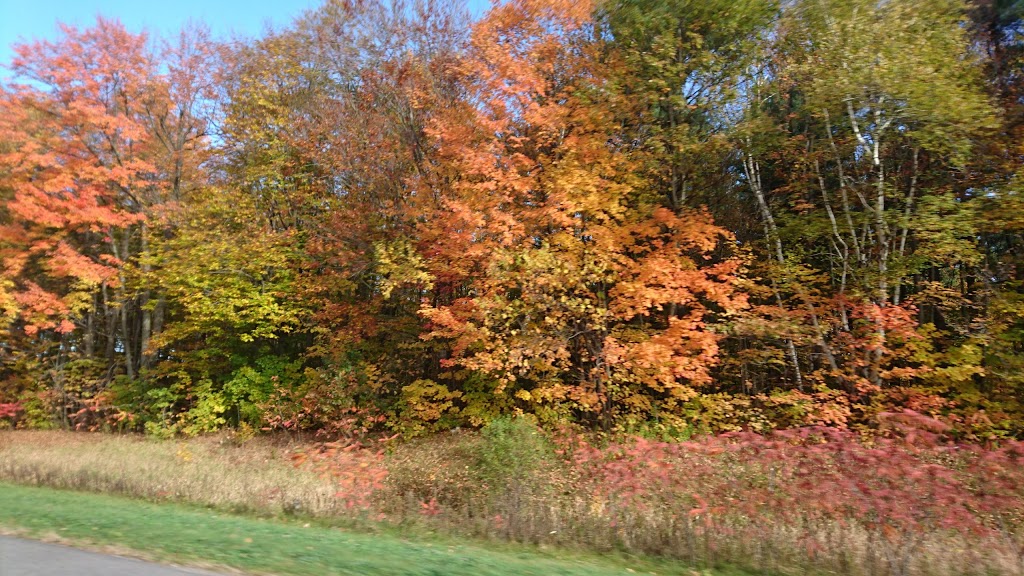 Parc des Sapins | 14 Rue des Sapins, Vaudreuil-Dorion, QC J7V 0K1, Canada