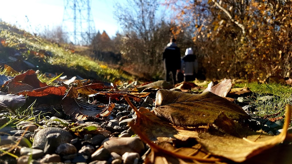 Cassiar Park | Morgan Park Trail, Abbotsford, BC V2S 7G7, Canada | Phone: (604) 859-3134