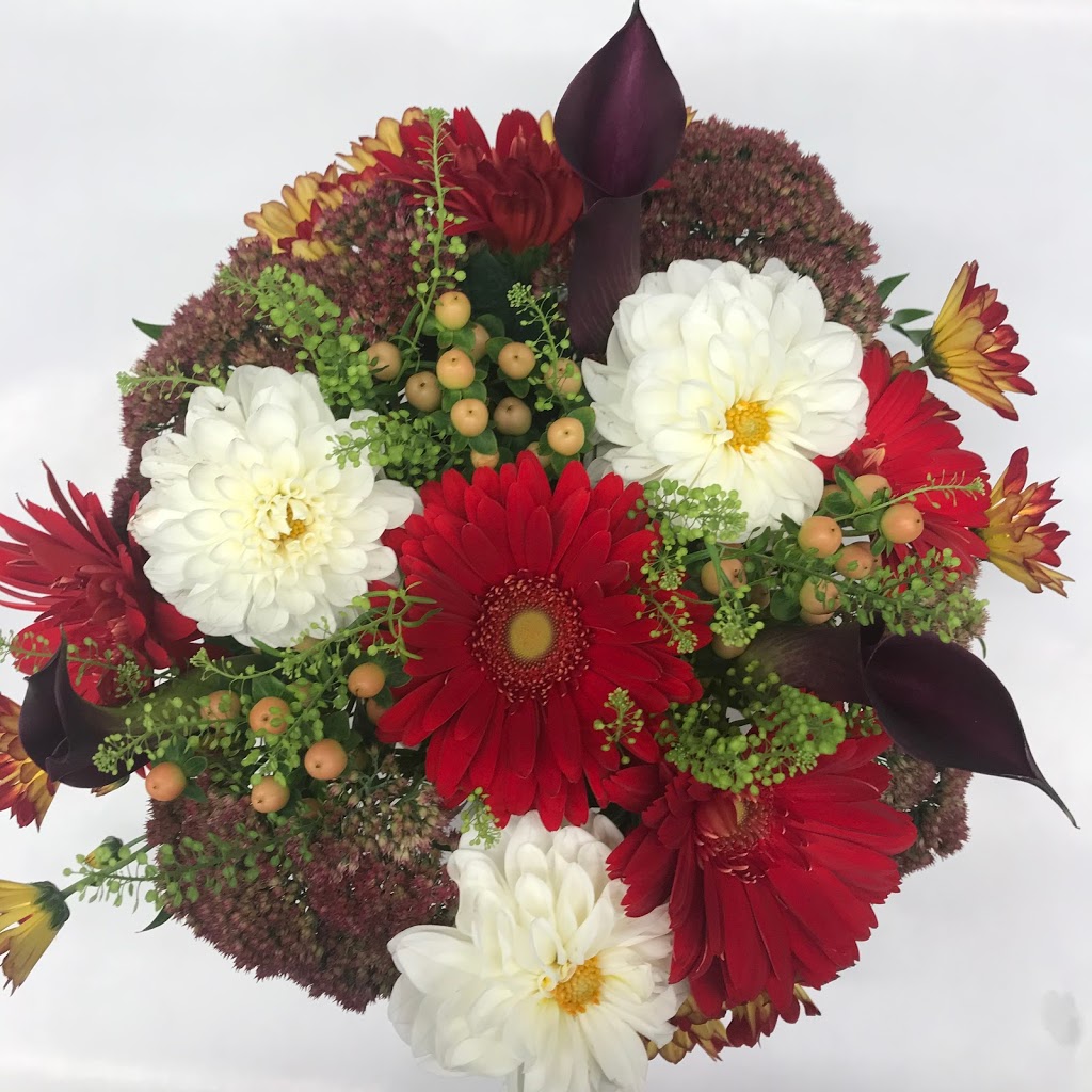 Bobs Garden Centre | 959 Mt Pleasant Rd, Toronto, ON M4P 2L8, Canada | Phone: (416) 482-0373