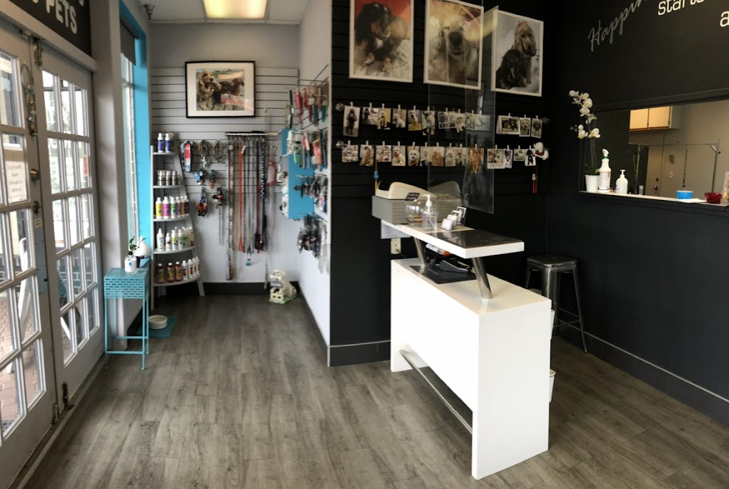 Suds n Scissors - Dog Grooming Studio | 931 Brunette Ave Unit G, Coquitlam, BC V3K 6T5, Canada | Phone: (604) 525-7387