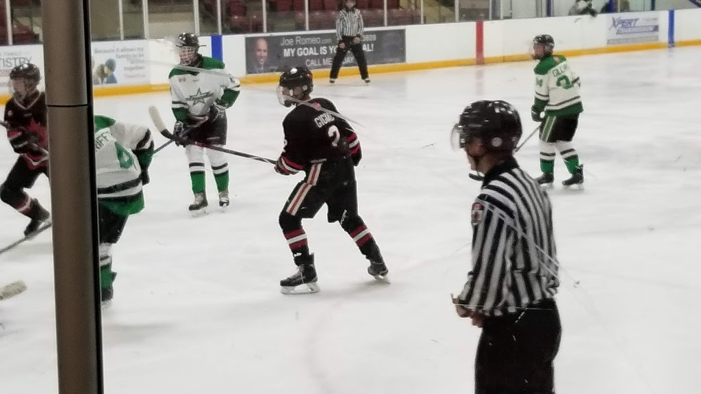 Galt Arena Gardens | 98 Shade St, Cambridge, ON N1R 4J7, Canada | Phone: (519) 740-4681 ext. 4522