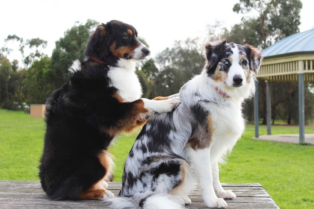 Simply Serene Reiki/Animal Reiki Reflexology | 676 Martindale Rd, Parksville, BC V9P 1R8, Canada | Phone: (250) 591-0511