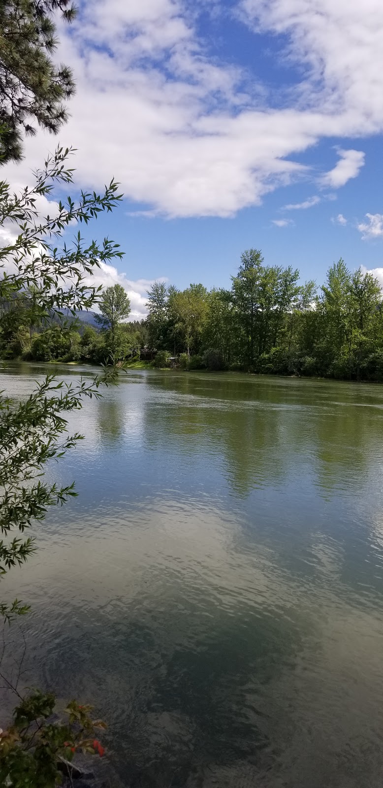 Enderby Riverside Park and Ball Diamonds | 501 Kildonan Ave #203, Enderby, BC V0E 1V2, Canada | Phone: (250) 838-2665