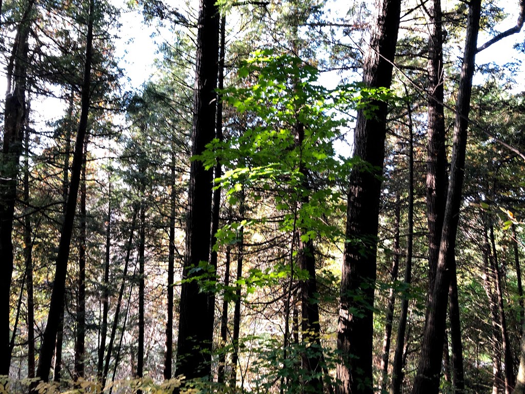 Willam Grange Greenway Trail | William Granger Greenway, Kleinburg, ON L0J 1C0, Canada