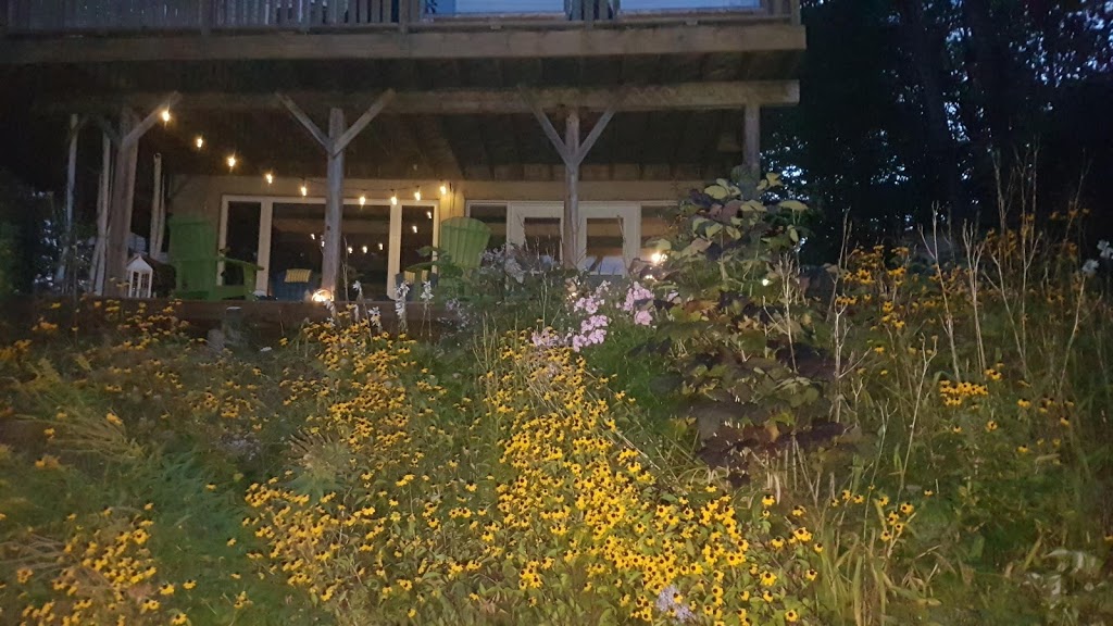 Pleasant View Cottage | 1137 Jones Rd, Algonquin Highlands, ON K0M 1J1, Canada | Phone: (416) 684-3317