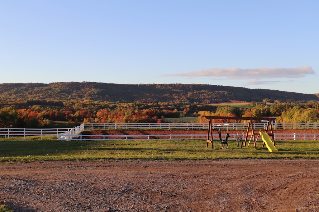 Willow & Withers Stables | 1575 Middle Dyke Rd, Centreville, NS B0P 1J0, Canada | Phone: (902) 483-4811