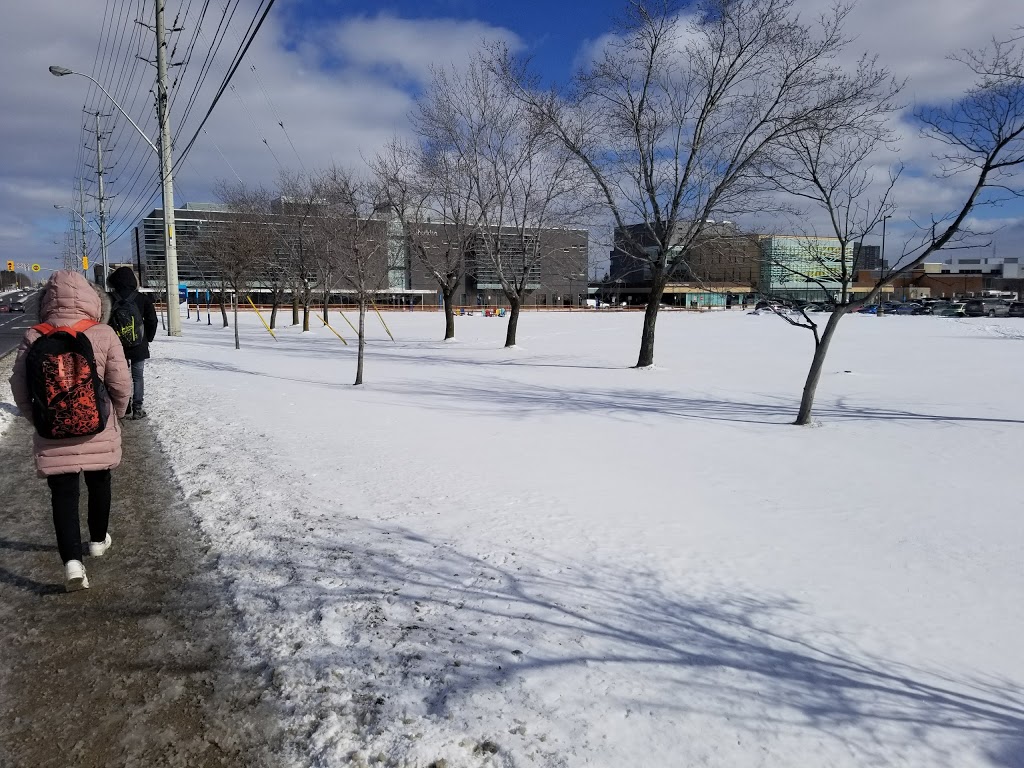 Sheridan College - Davis Library | J-Wing, 7899 McLaughlin Rd, Brampton, ON L6Y 5H9, Canada | Phone: (905) 459-7533