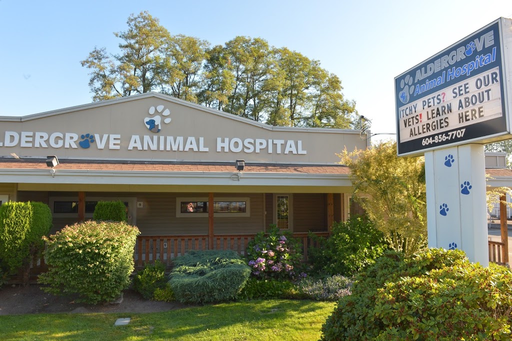 Aldergrove Animal Hospital Ltd | 26841 Fraser Hwy, Aldergrove, BC V4W 3E4, Canada | Phone: (604) 856-7707