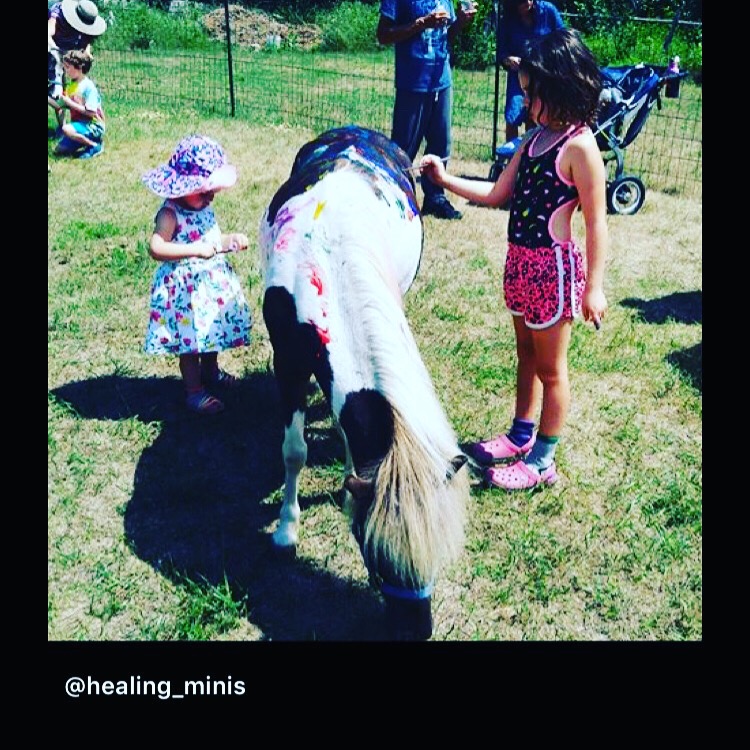 Healing Minis Retreat Into Nature - Equine and Family Therapy | 9313 Branch Rd, North Augusta, ON K0G 1R0, Canada | Phone: (613) 349-1638