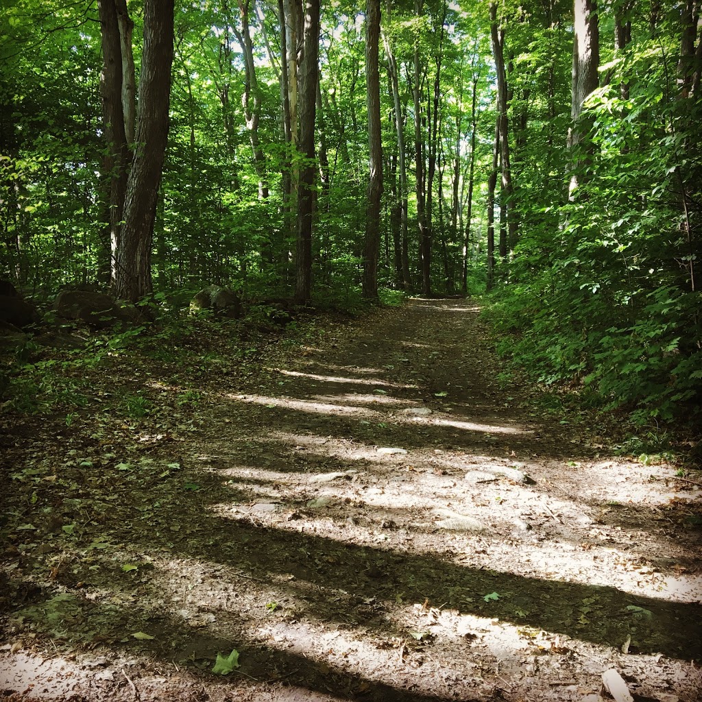 Tiffin Park | William St, Midland, ON L4R 2S7, Canada | Phone: (705) 526-4275