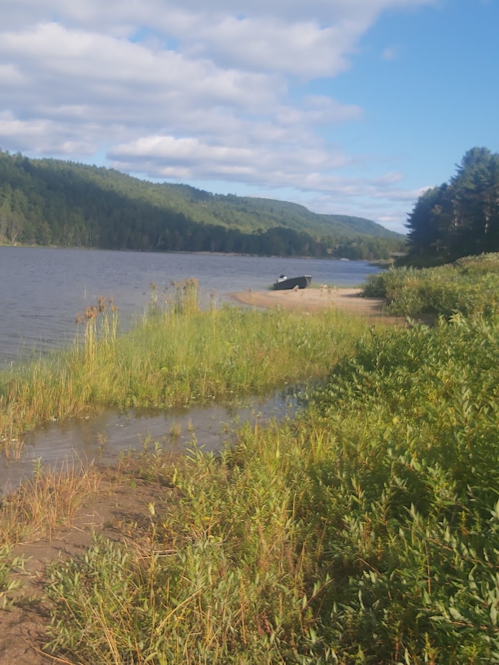 Camping McConnell | 228 McConnell Lake Road, Rapides-des-Joachims, QC J0X 3M0, Canada | Phone: (613) 281-3537