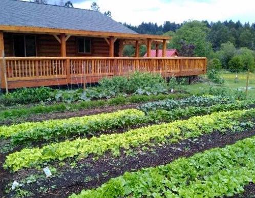 High Line Environmental | 5258 Brenton Page Rd, Ladysmith, BC V9G 1H7, Canada | Phone: (250) 667-1029