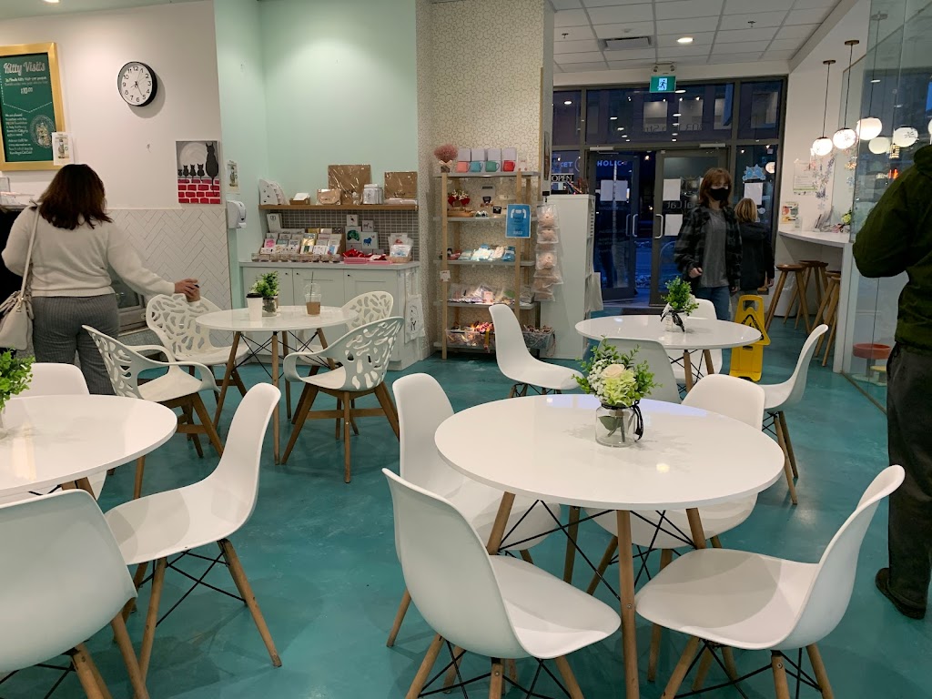 Regal Cat Cafe | 303 10 St NW, Calgary, AB T2N 1V8, Canada | Phone: (403) 455-2287