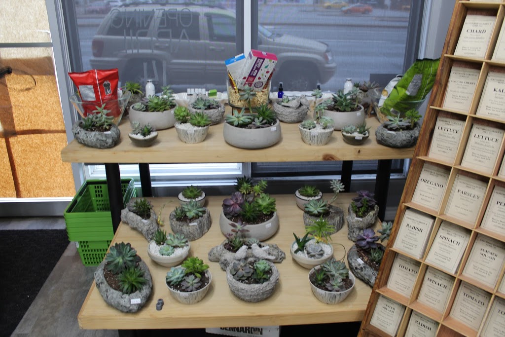 Green & Frugal | 2432 Kingston Rd, Scarborough, ON M1N 1V3, Canada | Phone: (416) 890-4270