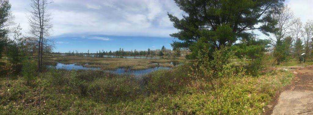 Torrance Barrens Dark-Sky Preserve | Southwood Rd, Gravenhurst, ON P0C 1M0, Canada | Phone: (800) 267-9700