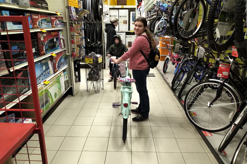 Canadian Tire - Dunnville, ON | 1002 Broad St E, Dunnville, ON N1A 2Z2, Canada | Phone: (905) 774-7545