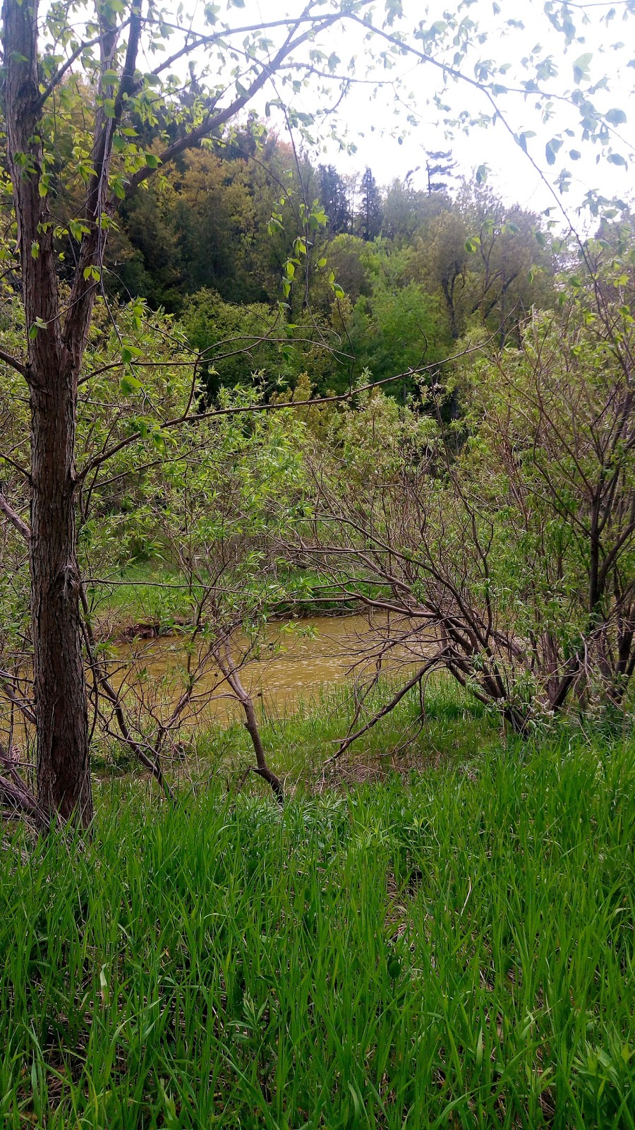 A Plus Office Installations Inc | 1795 Pine Grove Ave, Pickering, ON L1V 1K7, Canada | Phone: (905) 837-5701