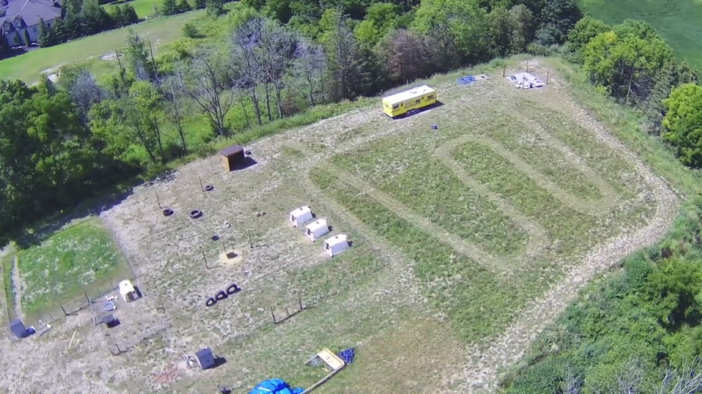 Hochs Family Farm | 2392B Snyders Rd E, Petersburg, ON N0B 2H0, Canada | Phone: (226) 698-7469