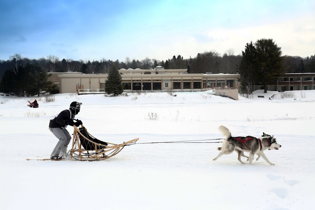 Pinestone Resort and Conference Centre | 4252 Haliburton County Rd 21, Haliburton, ON K0M 1S0, Canada | Phone: (705) 457-1800
