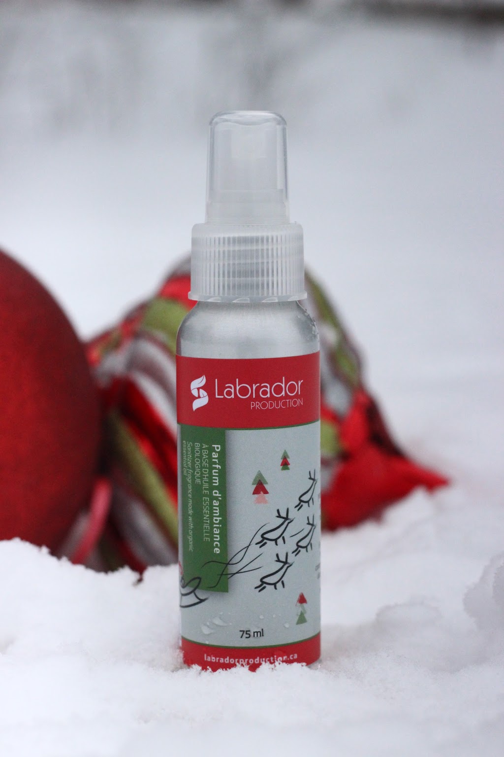 Labrador production | Rang St Joseph N, Maria-Chapdelaine, QC G0W, Canada | Phone: (418) 637-8816