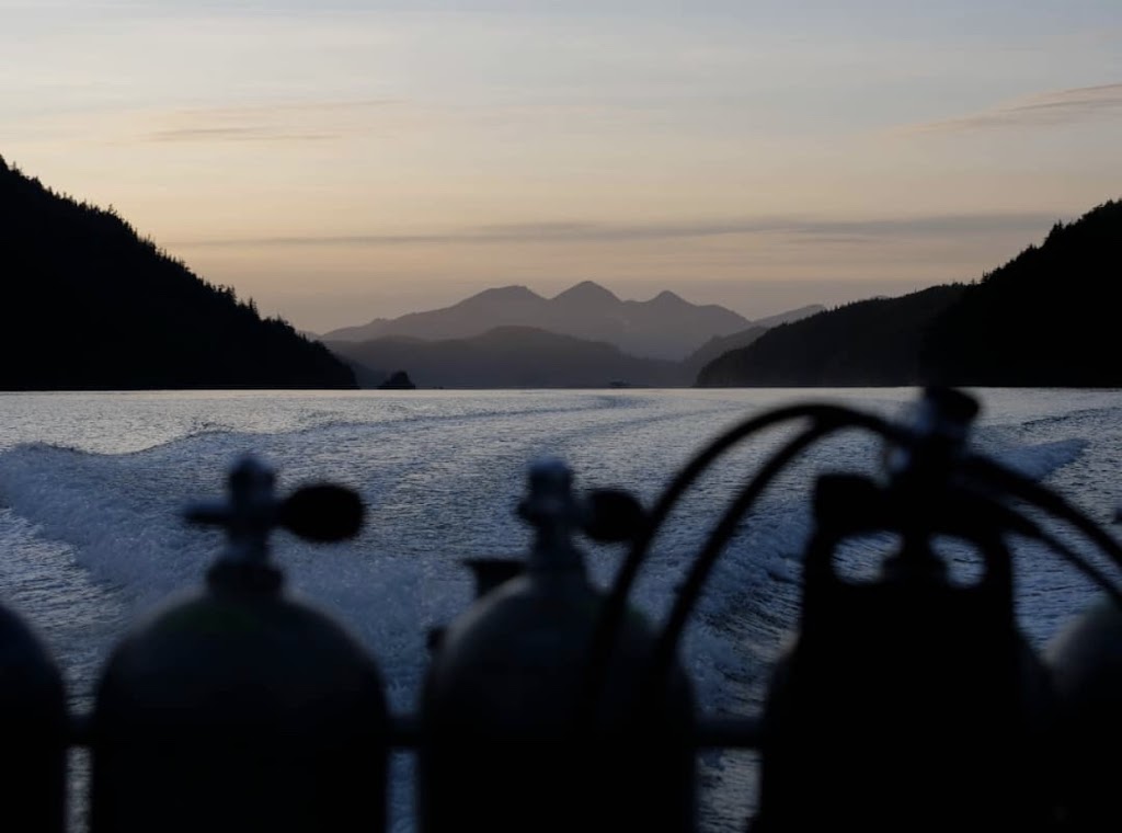 Diveco Marine | 200 Carmanah Dr, Courtenay, BC V9N 8N4, Canada | Phone: (250) 334-6598