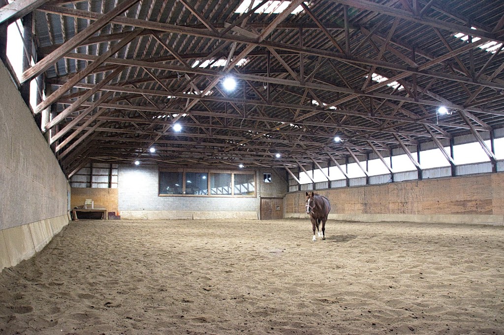 Equestrian Centre Performance Complicité | 17 Rue Marziali, Bedford, QC J0J 1A0, Canada | Phone: (514) 894-5416