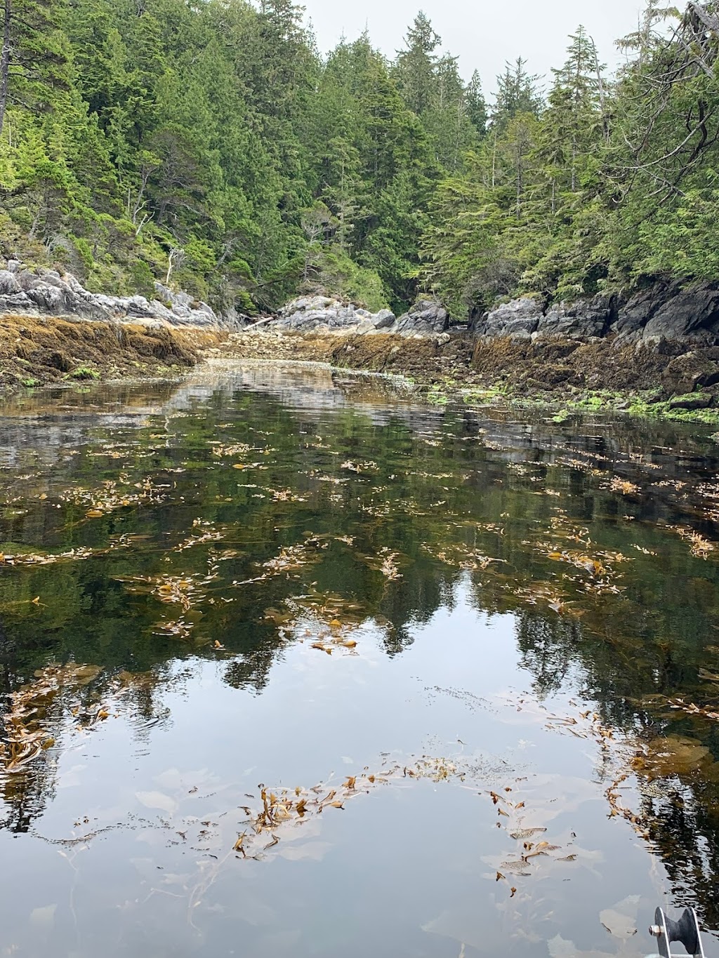 Pacific Gateway Wilderness Lodge | 8 Michelsens Ln, Bamfield, BC V0R 1B0, Canada | Phone: (250) 728-3646