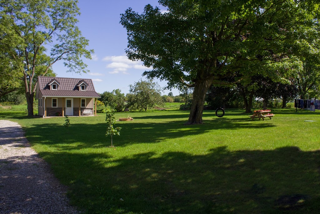 Shark Lawn Specialists | 6924 Horizon Trail, Millbank, ON N0K 1L0, Canada | Phone: (519) 900-5684