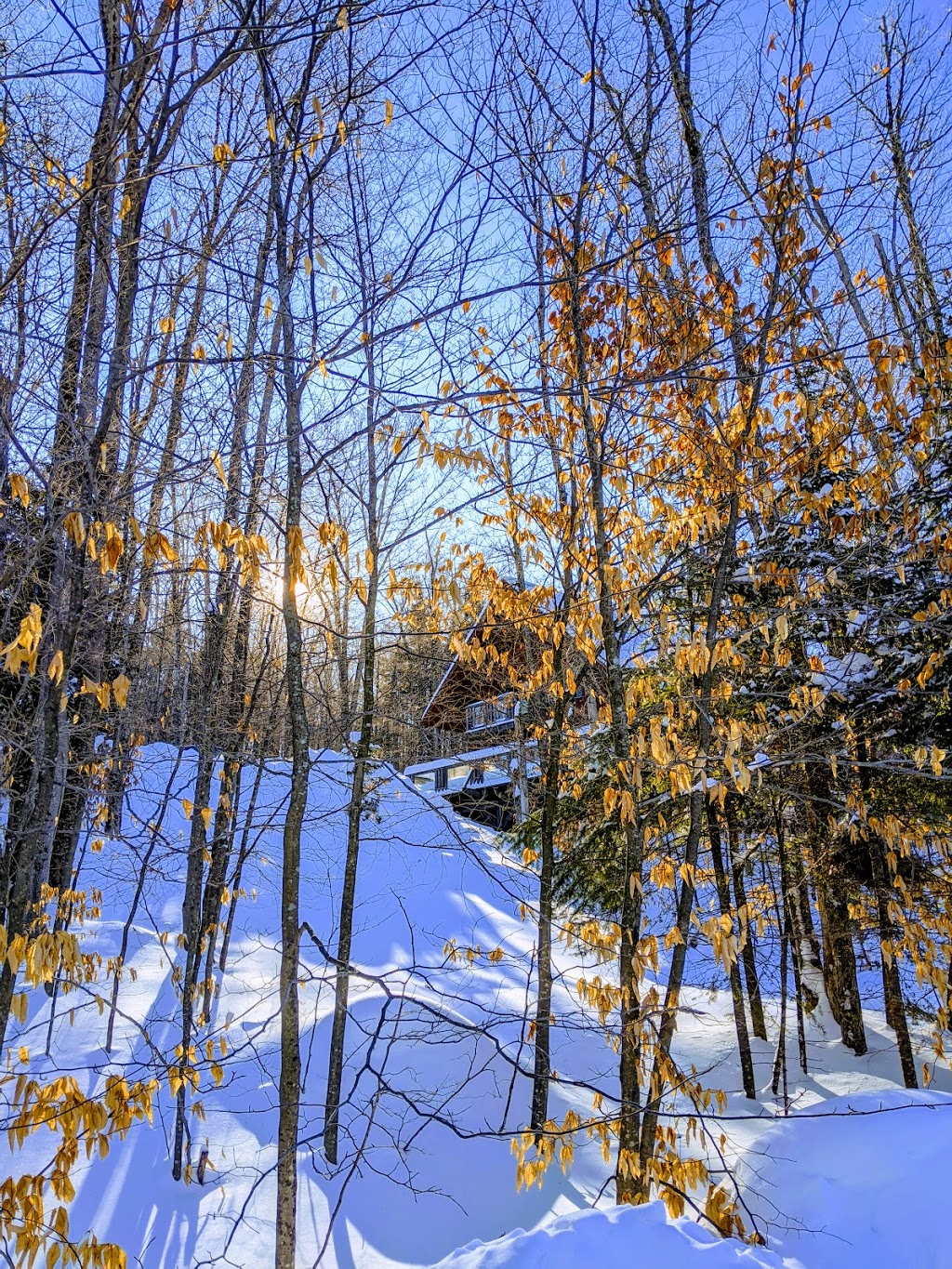 RCNT Chalets # 217 | 150 Chemin de la Fraternité, Lac-Supérieur, QC J0T 1P0, Canada | Phone: (844) 370-0257