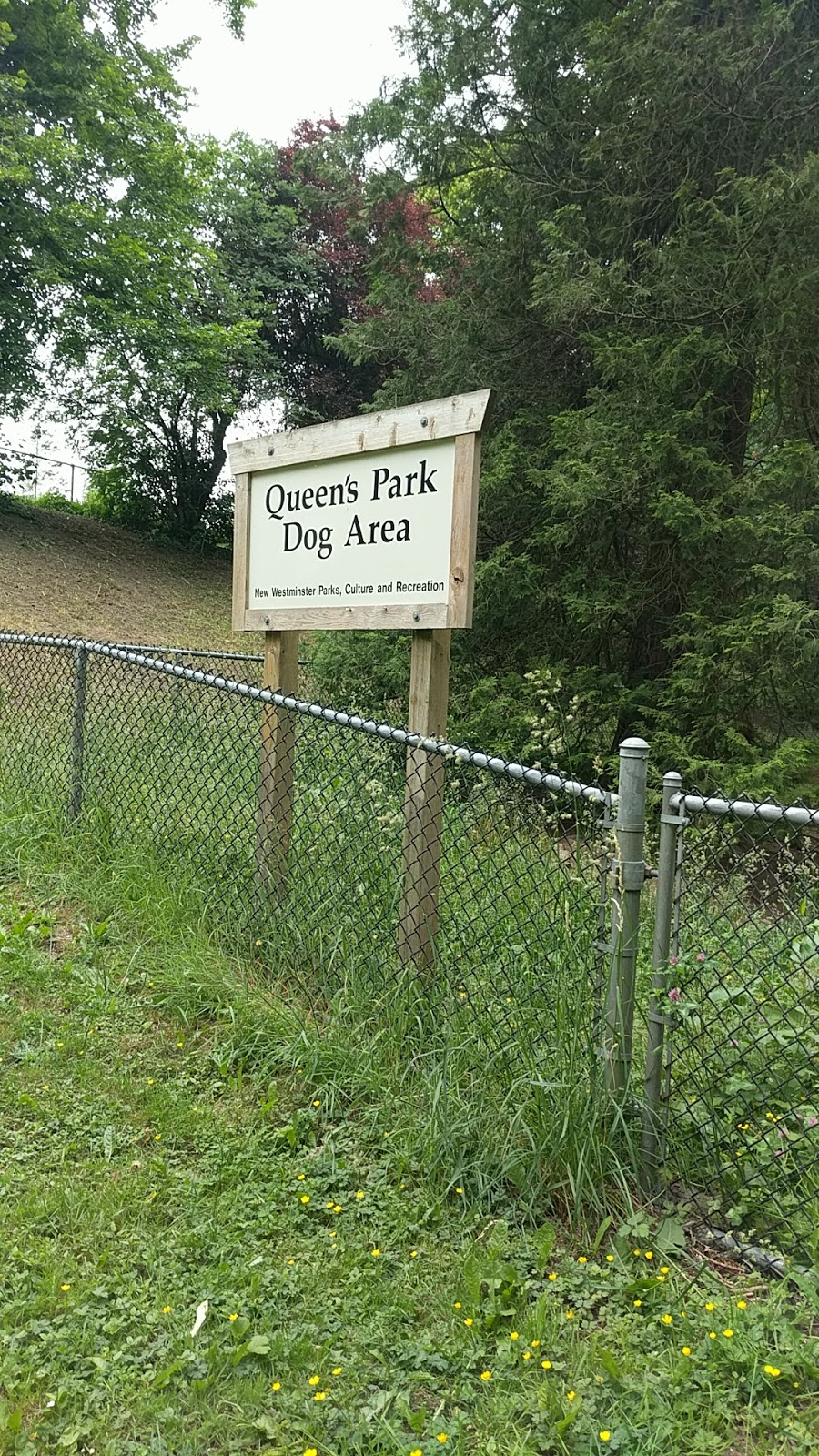 Queens Park Dog Park | Unnamed Road, New Westminster, BC V3L, Canada