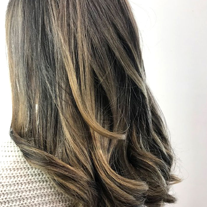 Beauty Foxy Lady | 2618 Mt Albert Rd, Queensville, ON L0G 1R0, Canada | Phone: (647) 828-3458