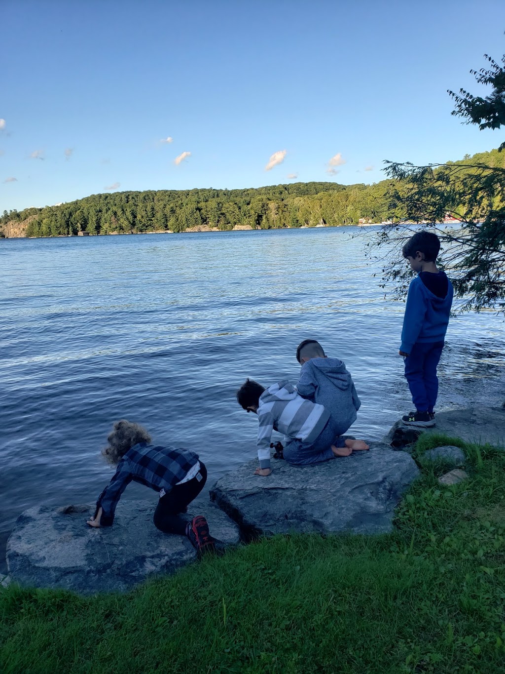 Muskoka Village Harbour and Marina | 1291 Skeleton Lake Road 2, Utterson, ON P0B 1M0, Canada | Phone: (416) 580-0352
