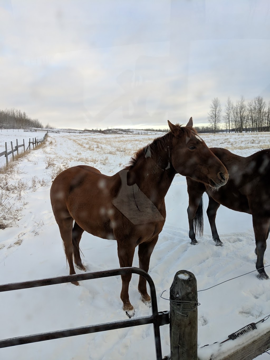 Bilby Natural Area | Range Rd 14, Onoway, AB T0E 1V0, Canada | Phone: (780) 960-8170