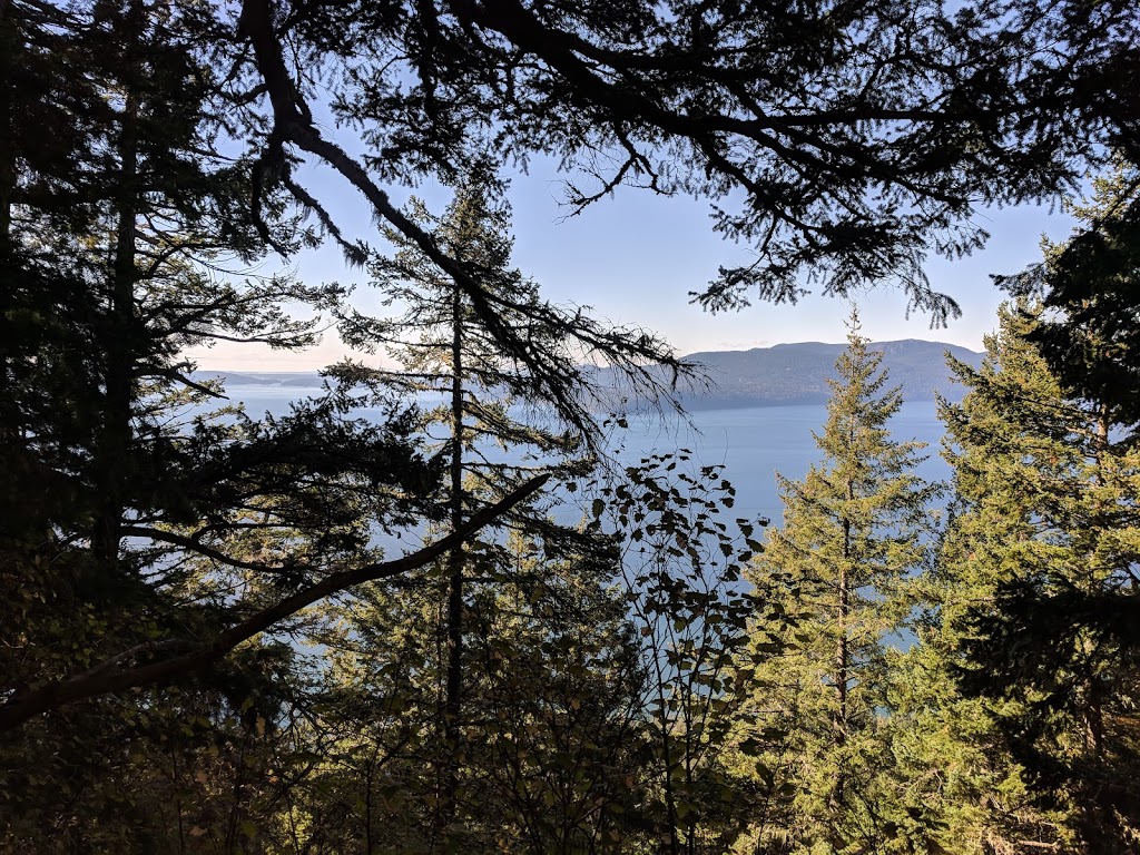 Baker Preserve Trail | Seacrest Dr, Lummi Island, WA 98262, USA