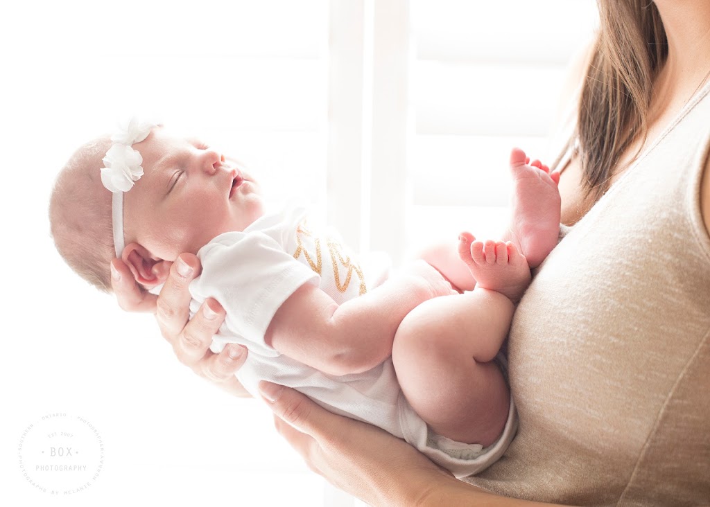Box Photography | 1 Scot Ct, Scotland, ON N0E 1R0, Canada | Phone: (226) 388-9704