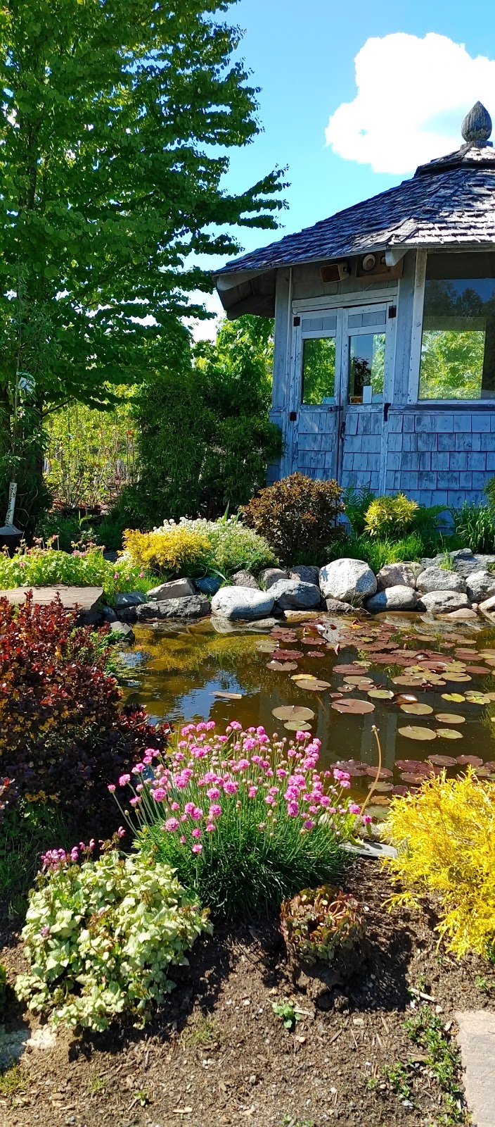 Brunswick Nurseries | 308 Model Farm Rd, Quispamsis, NB E2G 1M3, Canada | Phone: (506) 847-8244