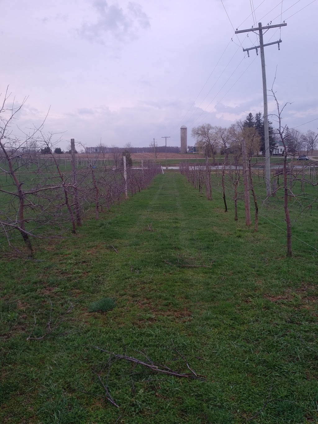 Filsinger’s Organic Ltd | 141705 Grey County Rd 9, Ayton, ON N0G 1C0, Canada | Phone: (519) 665-7763