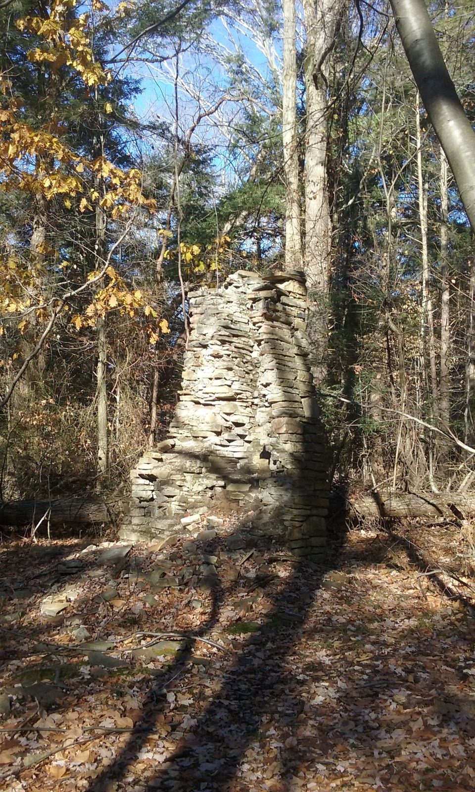 Franklin Gulf County Park | North Collins, NY 14111, USA