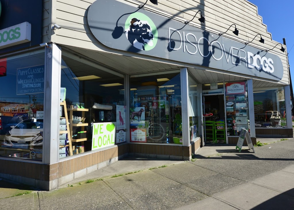 Discover Dogs | 701 Kingsway, Vancouver, BC V5T 3K6, Canada | Phone: (604) 428-3647
