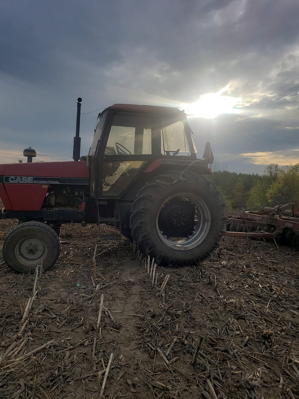 Rayner Ranch | 668 County Rd 27, Castleton, ON K0K 1M0, Canada | Phone: (705) 977-2322