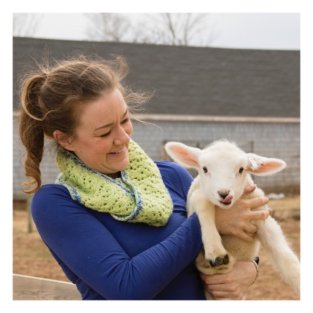 Fleece & Harmony | 3130 Garfield Rd, Belfast, PE C0A 1A0, Canada | Phone: (902) 659-2550