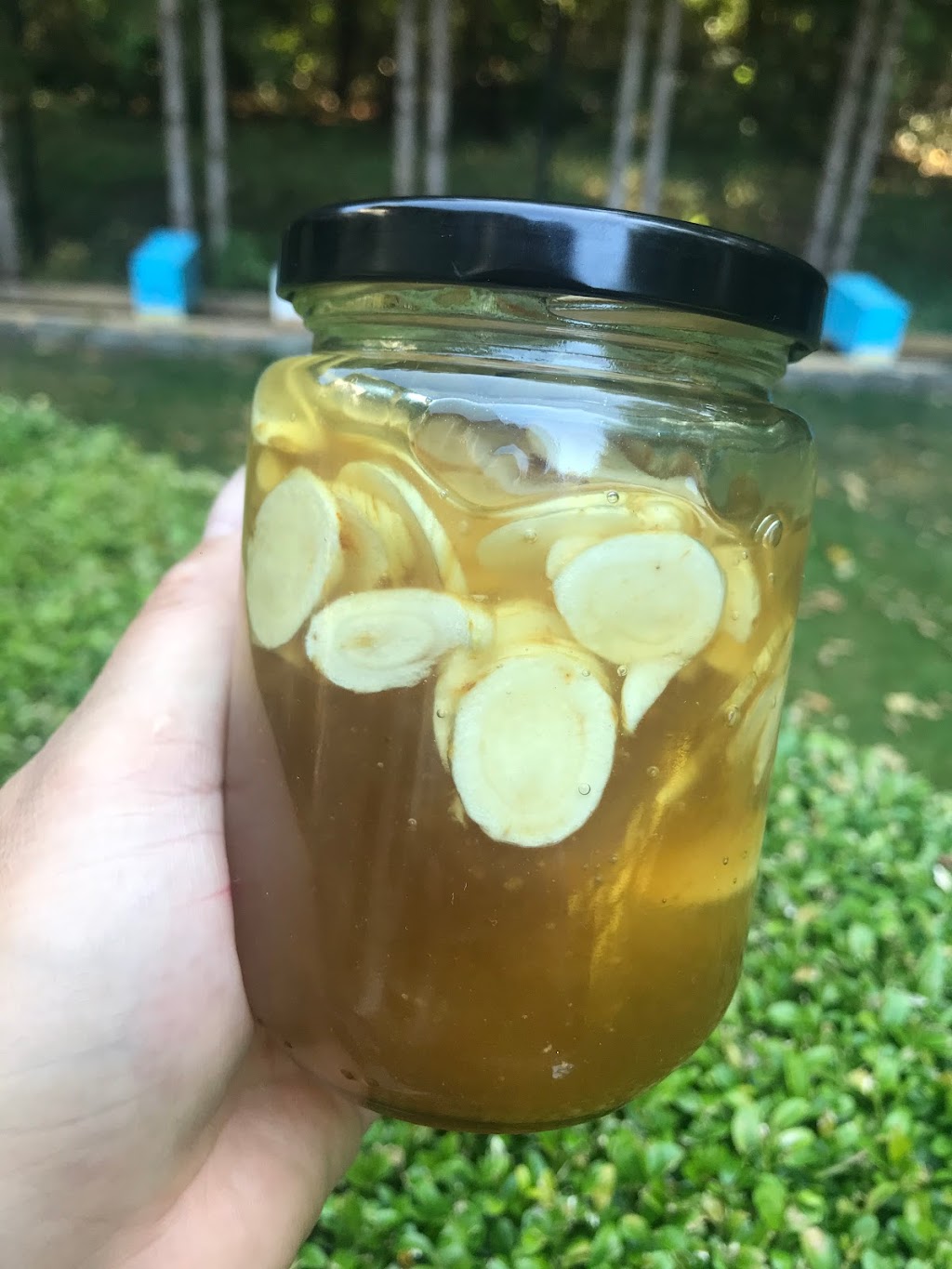 father‘s honeybee farm | 1093 216 St, Langley, BC V2Z 1R3, Canada | Phone: (778) 951-2105