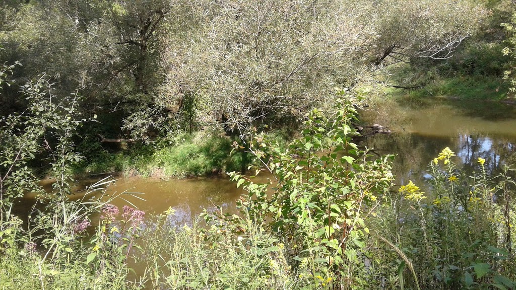 Archie Coulter Conservation Area | 46900 Brouwers Line, Aylmer, ON N5H 2R4, Canada | Phone: (519) 773-9037